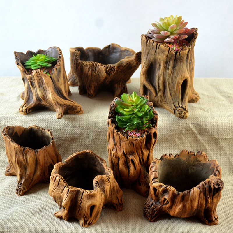 Echeveria Succulent - Imitation Wooden Stakes Tree Roots Plant