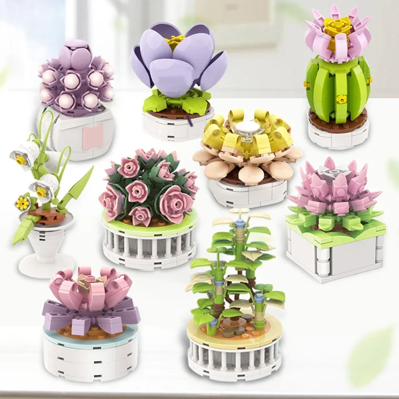 Block City DIY Potted Plants S - Echeveria Succulent review and price