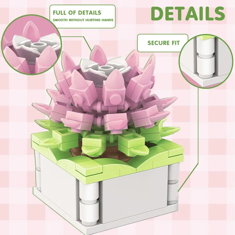 Block City DIY Potted Plants S - Echeveria Succulent review and price