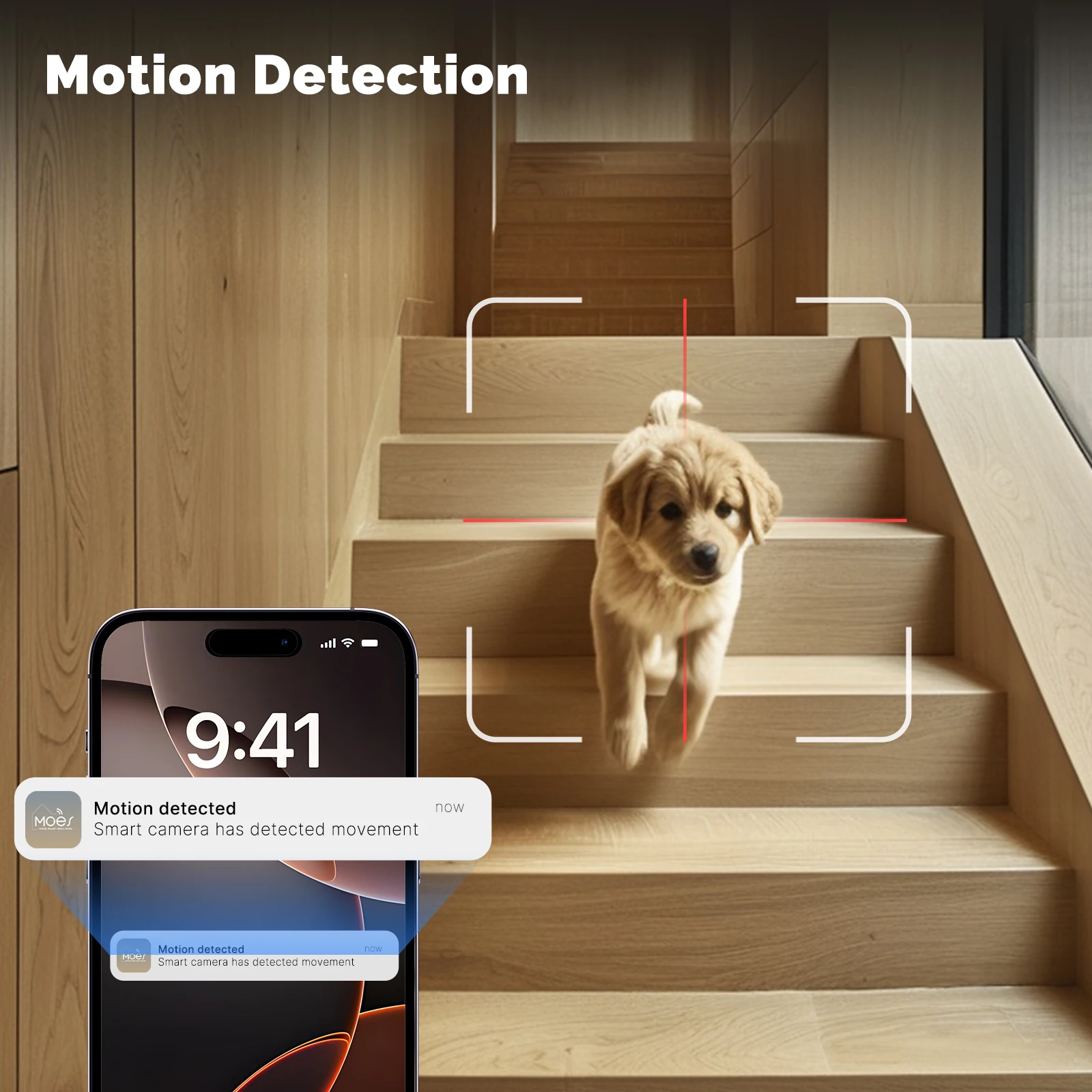 Moes Tuya WiFi Indoor Smart Ca - Eufy Camera E220 review and price